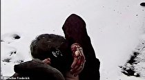 حمله خونین سنجاب ها به ساکنان منطقه ای در نیویورک