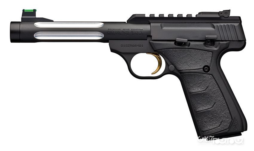 چند نمونه از بهترین پیستولهای کالیبر 22+عکس