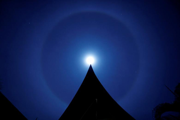 حمل عجیب یک بیمار مشکوک به کرونا / اعمال قانون با اسب (تصاویر) حمل عجیب یک بیمار مشکوک به کرونا / اعمال قانون با اسب (تصاویر)