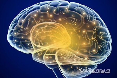 تحقیق جدید نحوه آسیب التهابی کووید-۱۹ به مغز را نشان می‌دهد+عکس