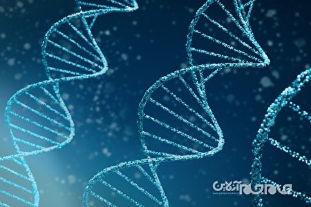 موفقیت پژوهشگران در کنترل عملکرد DNA با استفاده از نور+عکس