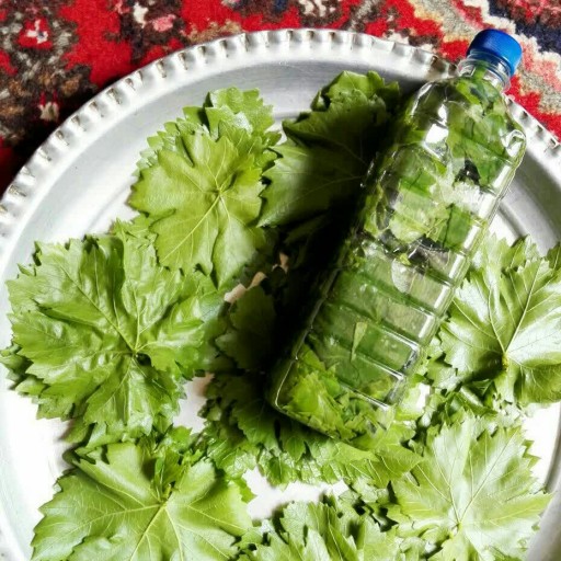 طرز تهیه ترشی برگ مو طرز تهیه ترشی برگ مو