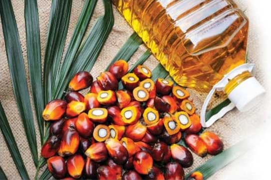 با استفاده از روغنهای غیراشباع در سرخ کردن غذا ممکن است به بدن آسیب برسانید با استفاده از روغنهای غیراشباع در سرخ کردن غذا ممکن است به بدن آسیب برسانید