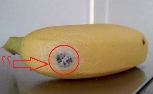 مصرف این موز شما را می‌ کشد! (+عکس)