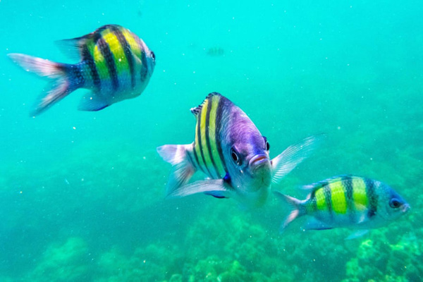 ماساژ پا بعد از مسدود کردن جاده ها / سرگرم کردن کودکان بیمارستان ها (تصاویر) ماساژ پا بعد از مسدود کردن جاده ها / سرگرم کردن کودکان بیمارستان ها (تصاویر)