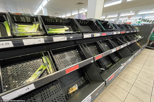 معضل خالی شدن قفسه فروشگاه های غذایی  (تصاویر)