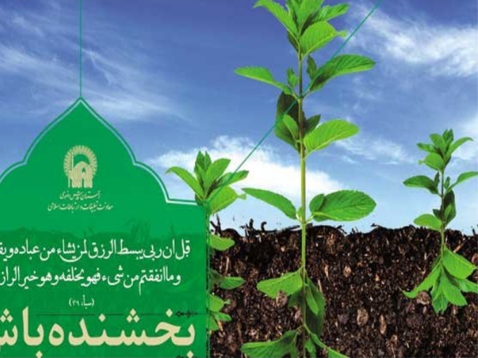 انفاق، سیره عملی معصومان(علیه السلام)