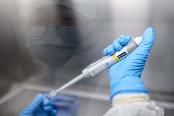 یک خوک مشهور / بیروت در آستانه قرنطینه (تصاویر) یک خوک مشهور / بیروت در آستانه قرنطینه (تصاویر)