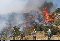 ۳۸ فقره آتش سوزی در جنگل های گلستان/آتش جنگل نوکنده مهار شد