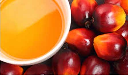 مارگارین تهیه شده از روغن پالم (نخل) بدون و ترانس و انتخابی سالم تر مارگارین تهیه شده از روغن پالم (نخل) بدون و ترانس و انتخابی سالم تر