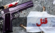 دیه و حبس مجازات عاملان قتل پسر پولدار