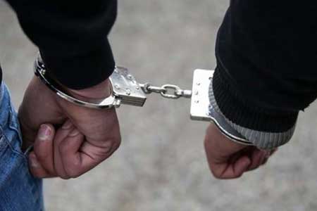 دستگیری ۲۱۴ نفر از اراذل و اوباش در طرح «اقتدار» پلیس امنیت