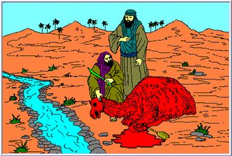 ماجراي شتر صالح (ع) ماجراي شتر صالح (ع)