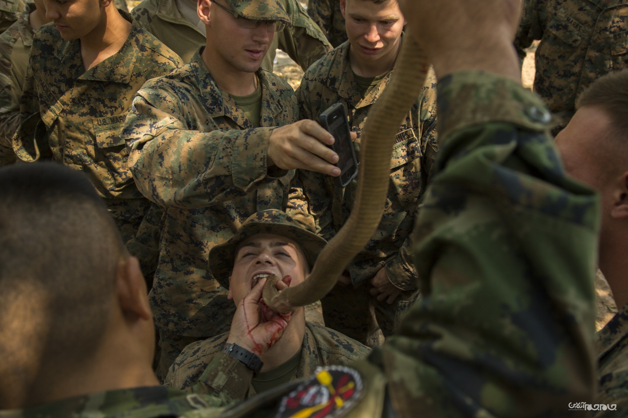 تمریناتی برای جان سخت شدن+عکس