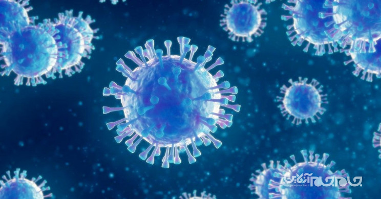 براساس پژوهش‌های اخیر، گونه جدید ویروس کرونا واقعا واگیردارتر است+عکس