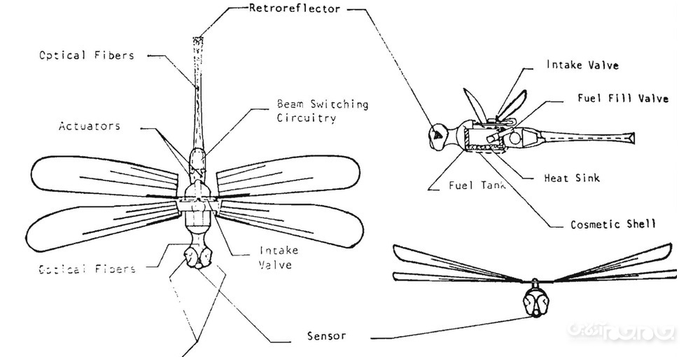 راز سنجاقک رباتیک پس از چند دهه+عکس