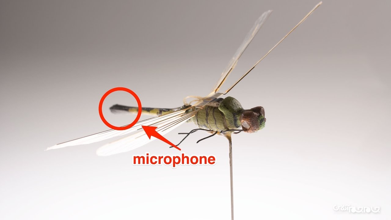 راز سنجاقک رباتیک پس از چند دهه+عکس