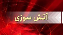 ۷ کشته و ۵ زخمی در پی آتش سوزی در بیمارستان بیماران کرونایی در مصر