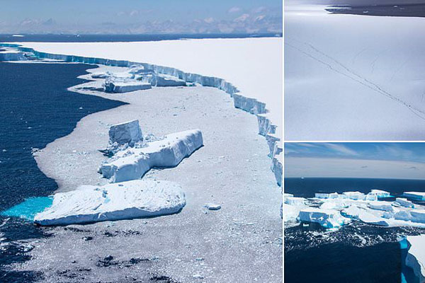 تمساح ترسناکی ملقب به پادشاه باتلاق /نزدیک شدن هولناک کوه یخ به یک جزیره (تصاویر)