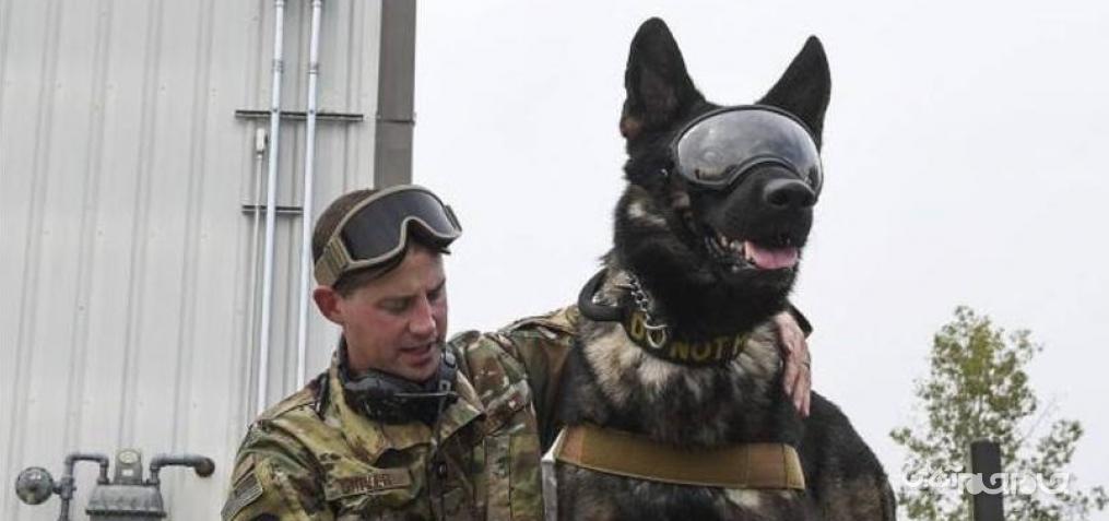 استفاده از عینک های واقعیت افزوده برای سگ های نظامی آمریکایی+عکس