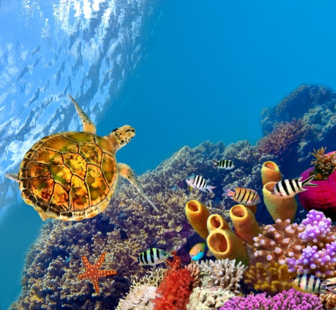 اسرار خلقت دریا در آیات و روایات