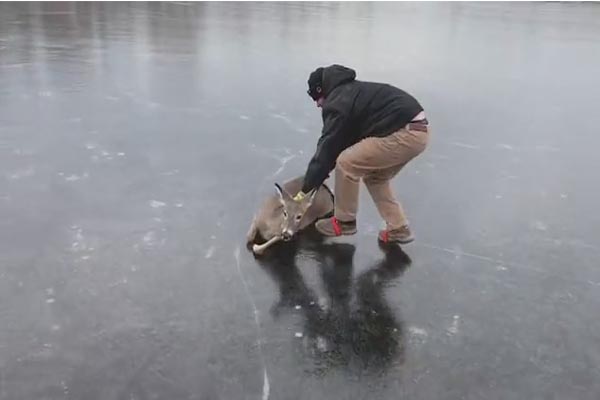 باز هم طوفان در بریتانیا / نوزادی با بیماری کرونا (تصاویر) باز هم طوفان در بریتانیا / نوزادی با بیماری کرونا (تصاویر)