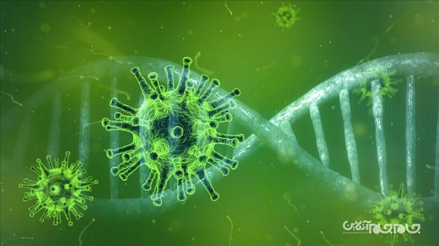 یک سال پس از دنیاگیری، علم چگونه ویروس کرونا را شکست داد؟؛ قسمت اول+عکس