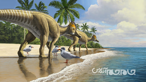 ۱۰ کشف جالب دانشمندان درباره دایناسورها در سال ۲۰۲۰+عکس