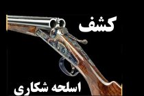 کشف ۲۰۰۰ اسلحه شکاری غیر مجاز در تهران