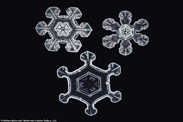 شکل واقعی دانه های برف در نزدیک ترین حالت ممکن (تصاویر) شکل واقعی دانه های برف در نزدیک ترین حالت ممکن (تصاویر)