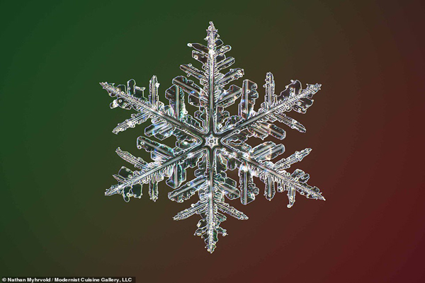 شکل واقعی دانه های برف در نزدیک ترین حالت ممکن (تصاویر) شکل واقعی دانه های برف در نزدیک ترین حالت ممکن (تصاویر)