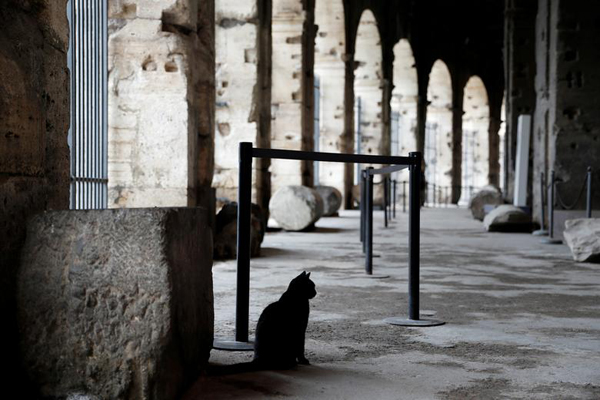 عکس های مهم خبری در 24 ساعت اخیر (گزارش تصویری ) عکس های مهم خبری در 24 ساعت اخیر (گزارش تصویری )