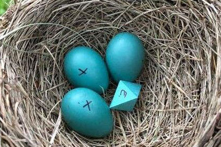 تخم مرغ های عجیب در لانه پرندگان! (+عکس)
