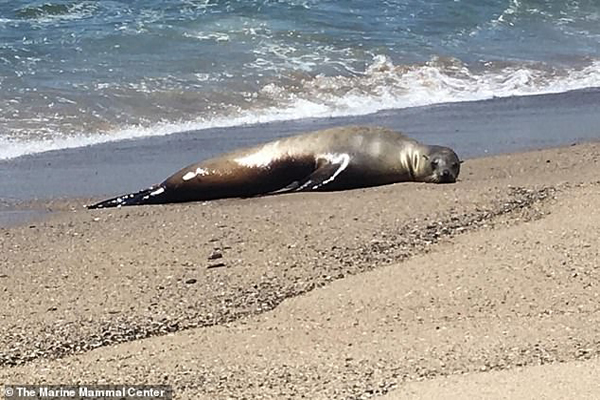 اخبار علم ، دانش و محیط زیست در قاب تصاویر(گزارش تصویری) اخبار علم ، دانش و محیط زیست در قاب تصاویر(گزارش تصویری)