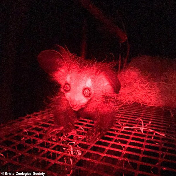 اخبار علم ، دانش و محیط زیست در قاب تصاویر(گزارش تصویری) اخبار علم ، دانش و محیط زیست در قاب تصاویر(گزارش تصویری)