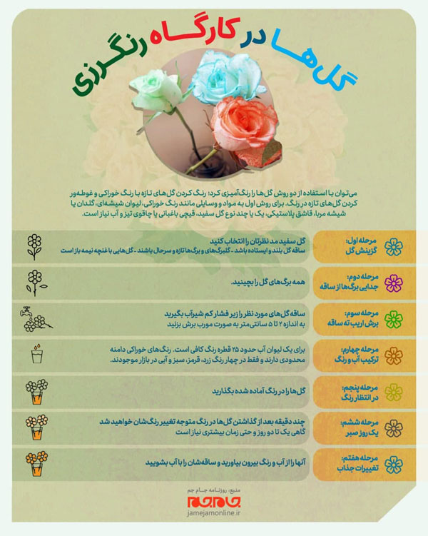 گل‌ها در کارگاه رنگرزی (+اینفوگرافیک)