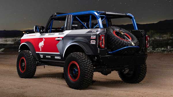 روباهِ صحرا! (+تصاویر) روباهِ صحرا! (+تصاویر)