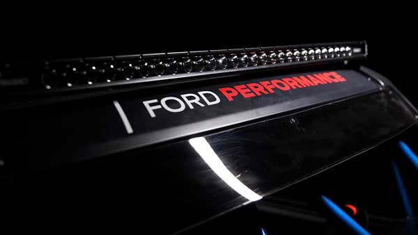 روباهِ صحرا! (+تصاویر) روباهِ صحرا! (+تصاویر)