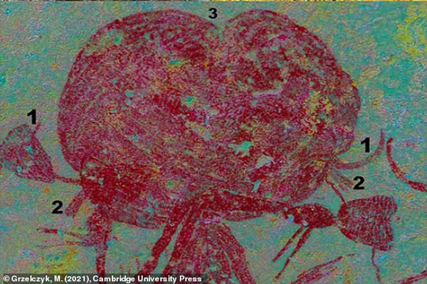 کشف نقاشی های باستانی در تانزانیا (تصاویر) کشف نقاشی های باستانی در تانزانیا (تصاویر)