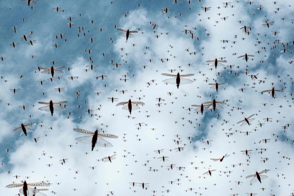 مهم ترین عکس های خبری و غیرخبری 24 ساعت اخیر (بخش دوم)