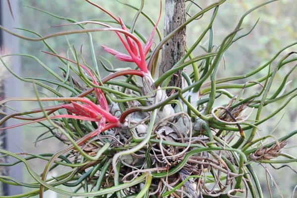 جدا از آب و خاک جدا از آب و خاک