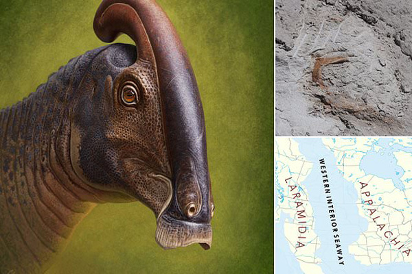 تبلت و موبایل کودکان را حواس پرت می کند / نجات کرگدن سفید از انقراض (گزارش تصویری) تبلت و موبایل کودکان را حواس پرت می کند / نجات کرگدن سفید از انقراض (گزارش تصویری)