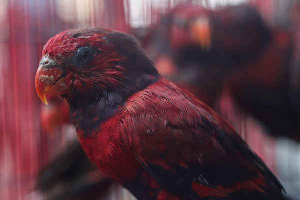 عکس های خبری و غیرخبری مهم 24 ساعت اخیر (گزارش تصویری) عکس های خبری و غیرخبری مهم 24 ساعت اخیر (گزارش تصویری)