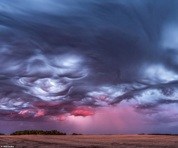 عکس های برگزیده زیست محیطی (گزارش تصویری)