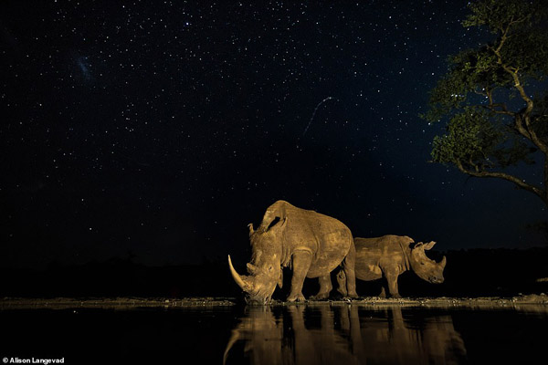 عکس های برگزیده زیست محیطی (گزارش تصویری)