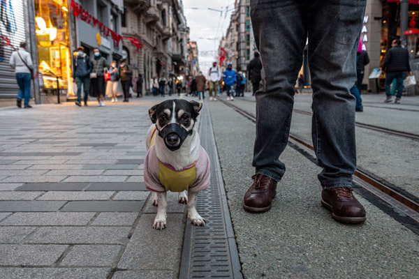 جهان در 24 ساعت اخیر (گزارش تصویری) جهان در 24 ساعت اخیر (گزارش تصویری)