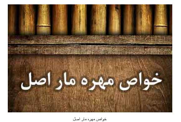 مهره مار اصل چیست؟