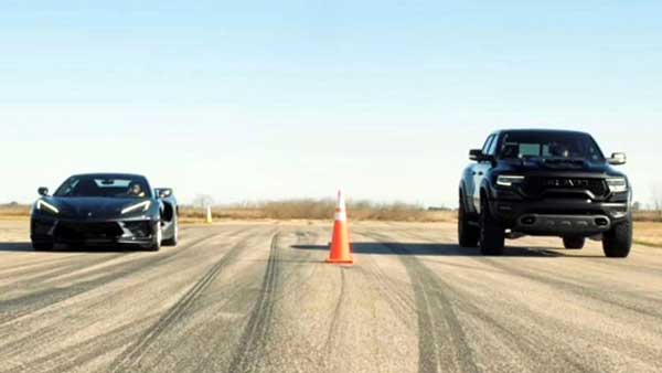 نبرد دایناسور و سفره ماهی! (+فیلم و عکس) نبرد دایناسور و سفره ماهی! (+فیلم و عکس)