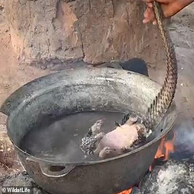 تصاویری چندش آور که هشدار بزرگی برای جهان است