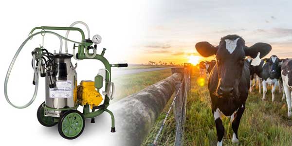 اهمیت شیردوشی دام با دستگاه های تمام اتوماتیک اهمیت شیردوشی دام با دستگاه های تمام اتوماتیک
